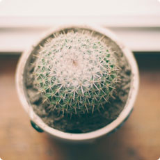 Reportaje evento empresarial